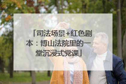 司法场景+红色剧本：博山法院里的一堂沉浸式党课