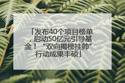 发布40个项目榜单，启动50亿元引导基金！“双向揭榜挂帅”行动成果丰硕
