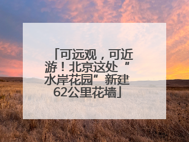 可远观，可近游！北京这处“水岸花园”新建62公里花墙