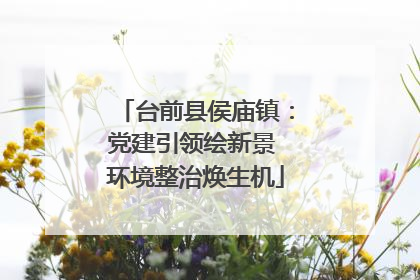 台前县侯庙镇：党建引领绘新景 环境整治焕生机