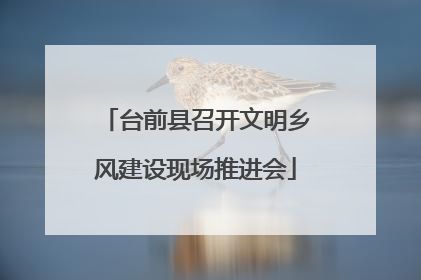 台前县召开文明乡风建设现场推进会