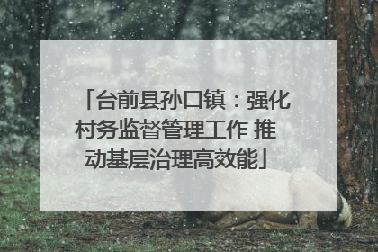 台前县孙口镇：强化村务监督管理工作 推动基层治理高效能