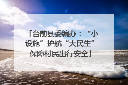 台前县委编办：“小设施”护航“大民生” 保障村民出行安全