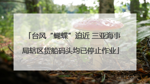 台风“蝴蝶”迫近 三亚海事局辖区货船码头均已停止作业