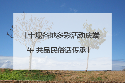 十堰各地多彩活动庆端午 共品民俗话传承