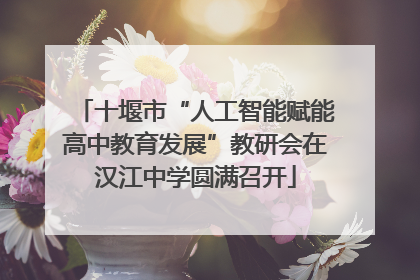 十堰市“人工智能赋能高中教育发展”教研会在汉江中学圆满召开