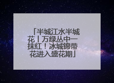半城江水半城花丨万绿丛中一抹红！冰城锦带花进入盛花期