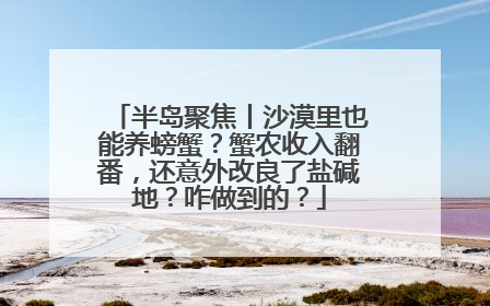 半岛聚焦丨沙漠里也能养螃蟹？蟹农收入翻番，还意外改良了盐碱地？咋做到的？