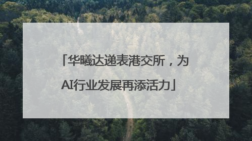 华曦达递表港交所，为AI行业发展再添活力