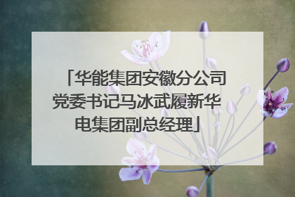 华能集团安徽分公司党委书记马冰武履新华电集团副总经理