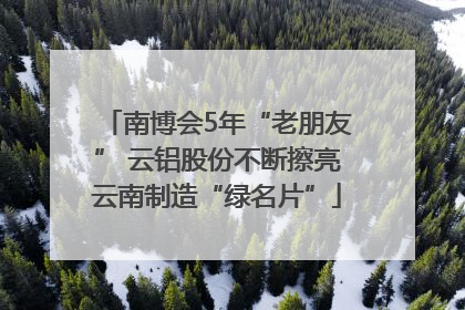 南博会5年“老朋友” 云铝股份不断擦亮云南制造“绿名片”
