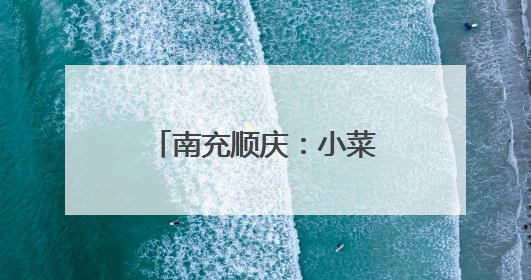 南充顺庆：小菜篮装满大民生 产业链拓宽致富路
