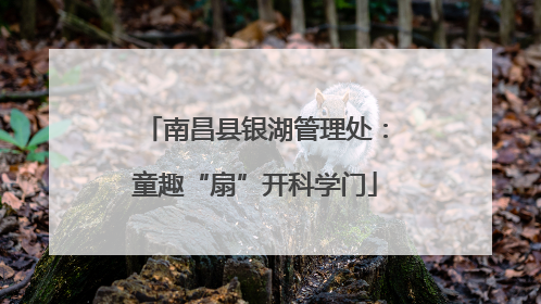 南昌县银湖管理处：童趣“扇”开科学门