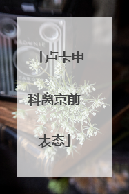 卢卡申科离京前表态