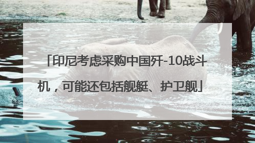 印尼考虑采购中国歼-10战斗机，可能还包括舰艇、护卫舰