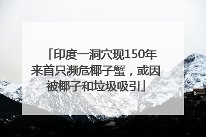 印度一洞穴现150年来首只濒危椰子蟹，或因被椰子和垃圾吸引
