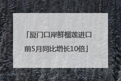 厦门口岸鲜榴莲进口 前5月同比增长10倍