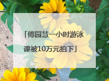 傅园慧一小时游泳课被10万元拍下