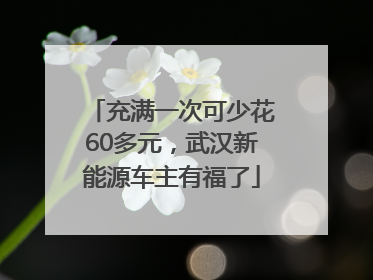 充满一次可少花60多元，武汉新能源车主有福了