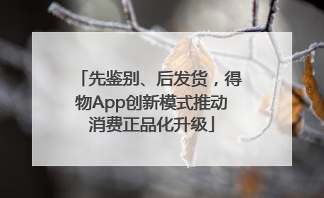 先鉴别、后发货，得物App创新模式推动消费正品化升级
