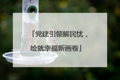 党建引领解民忧，绘就幸福新画卷