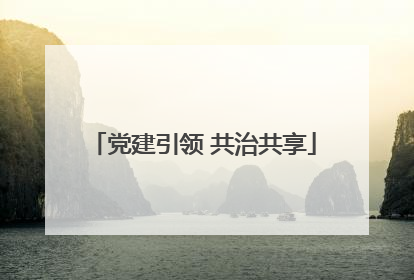 党建引领 共治共享