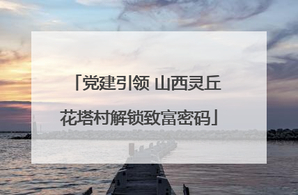 党建引领 山西灵丘花塔村解锁致富密码