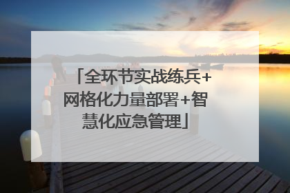 全环节实战练兵+网格化力量部署+智慧化应急管理