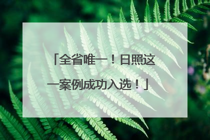 全省唯一！日照这一案例成功入选！