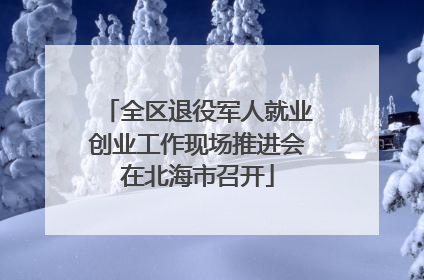 全区退役军人就业创业工作现场推进会在北海市召开