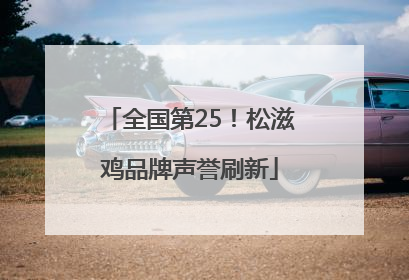 全国第25！松滋鸡品牌声誉刷新