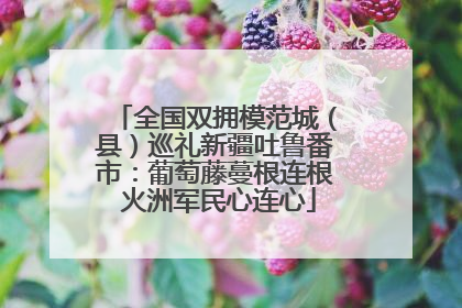 全国双拥模范城（县）巡礼新疆吐鲁番市：葡萄藤蔓根连根 火洲军民心连心