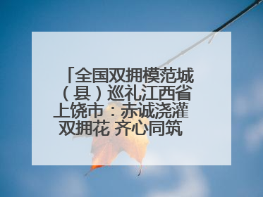 全国双拥模范城（县）巡礼江西省上饶市：赤诚浇灌双拥花 齐心同筑模范城