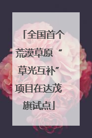 全国首个荒漠草原“草光互补”项目在达茂旗试点