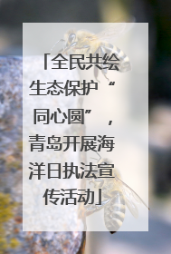 全民共绘生态保护“同心圆”，青岛开展海洋日执法宣传活动