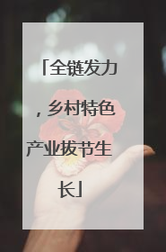 全链发力，乡村特色产业拔节生长
