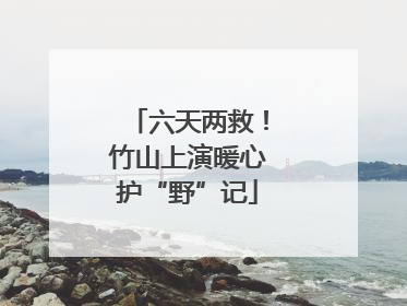 六天两救！竹山上演暖心护“野”记