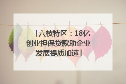 六枝特区：18亿创业担保贷款助企业发展提质加速
