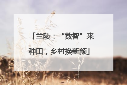 兰陵：“数智”来种田，乡村换新颜
