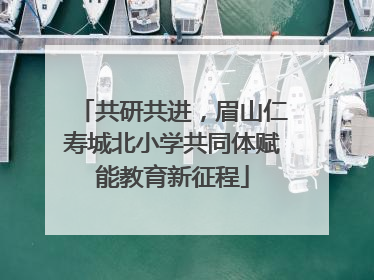 共研共进，眉山仁寿城北小学共同体赋能教育新征程
