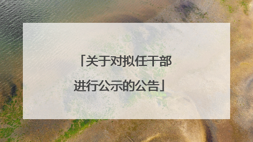 关于对拟任干部进行公示的公告