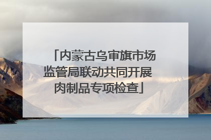 内蒙古乌审旗市场监管局联动共同开展肉制品专项检查