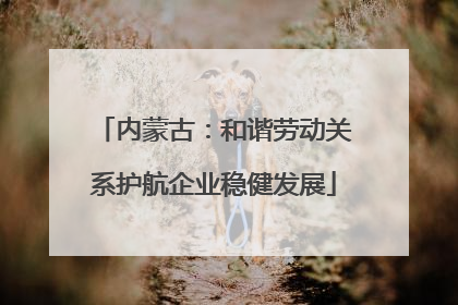 内蒙古：和谐劳动关系护航企业稳健发展