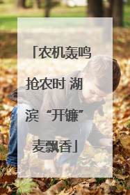 农机轰鸣抢农时 湖滨“开镰”麦飘香