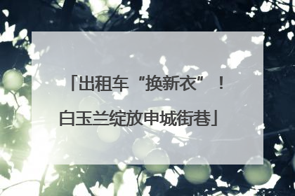 出租车“换新衣”！白玉兰绽放申城街巷