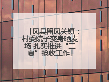 凤县留凤关镇：村委院子变身晒麦场 扎实推进“三夏”抢收工作
