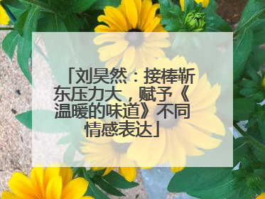 刘昊然：接棒靳东压力大，赋予《温暖的味道》不同情感表达