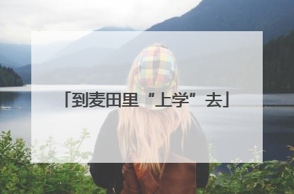 到麦田里“上学”去
