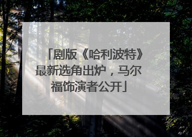 剧版《哈利波特》最新选角出炉，马尔福饰演者公开