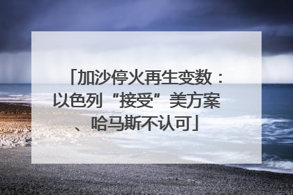 加沙停火再生变数：以色列“接受”美方案、哈马斯不认可